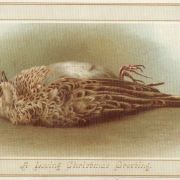 Christmas Death Traditions