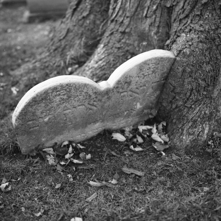 brothersister010 Children SarahLouisNadler 1 scaled