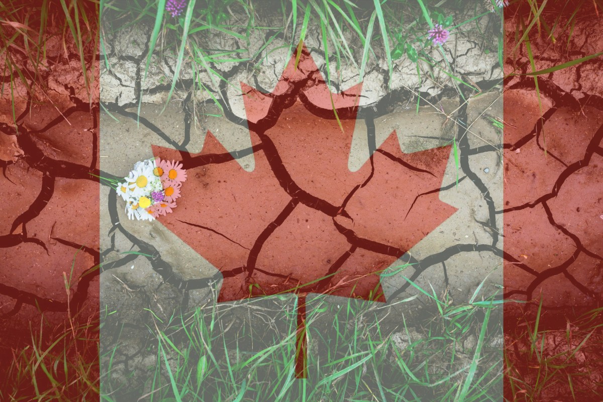 Green Burial Updates