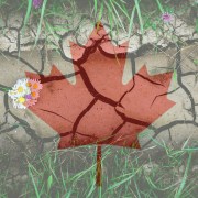 green burial in canada