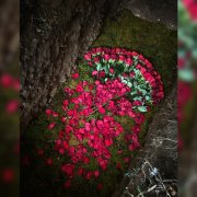 grief doula meg wade