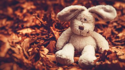 Talking to Children About Death, Guide and Resources