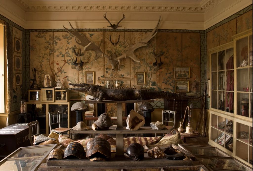 Make Your Own Cabinet of Curiosities