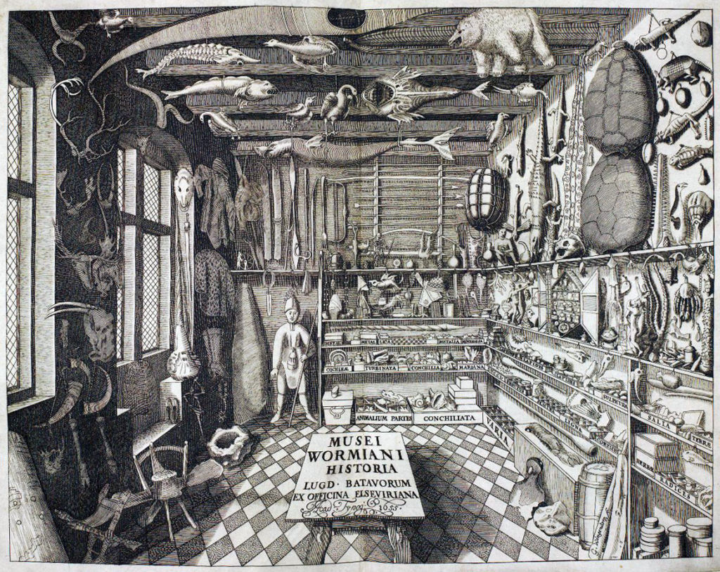 Make Your Own Cabinet of Curiosities